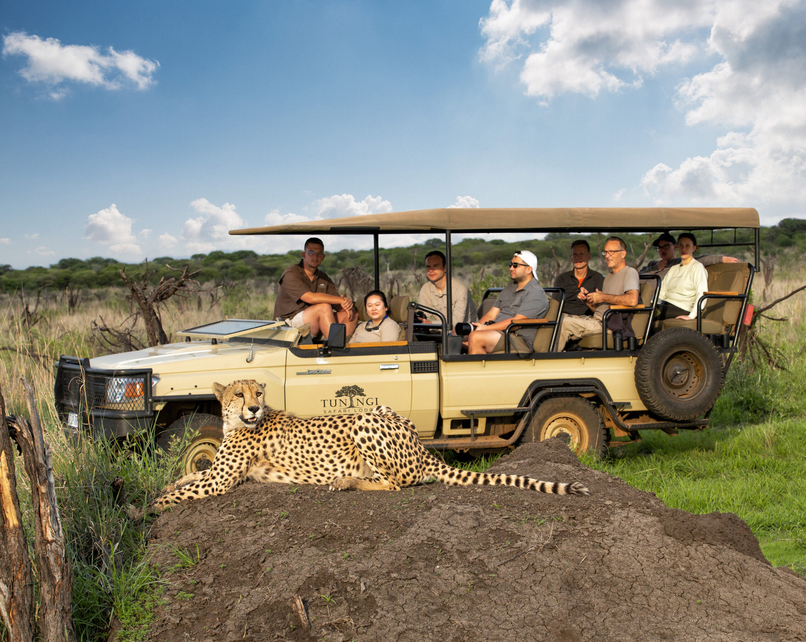 Cheetah-and-tuningi-vehicle-Gavin-Tonkinson-scaled